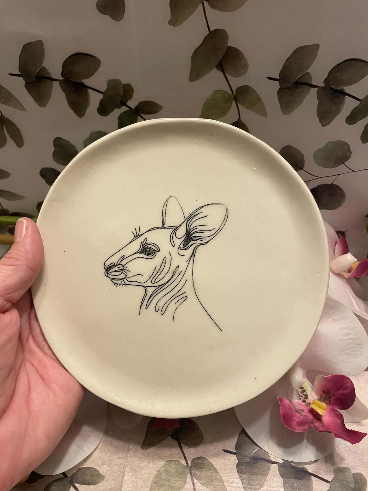 Kangaroo plate