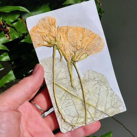 Hand-Pressed Plaster Plaque Of Nasturtium Flowers