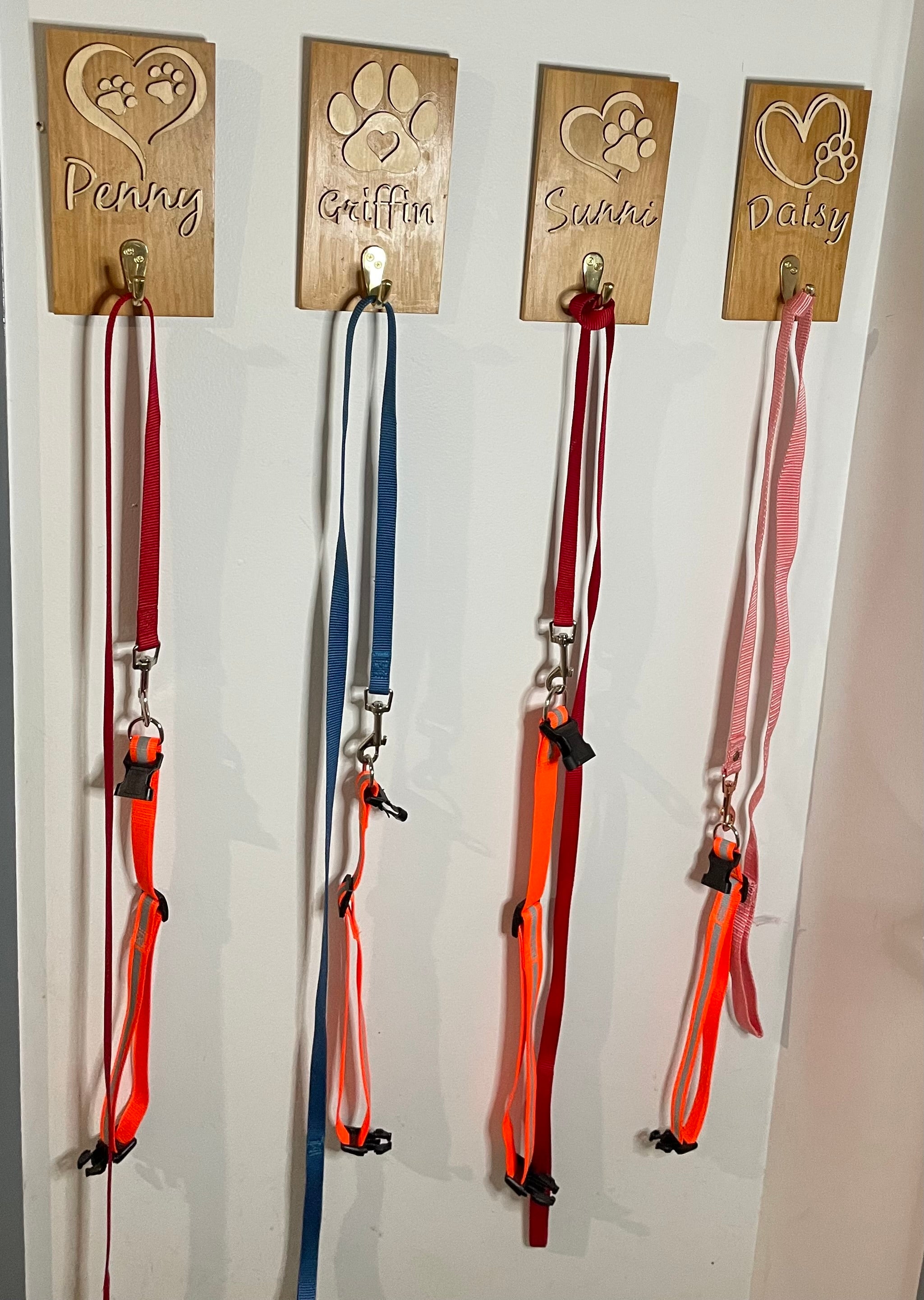 Pet lead and collar hangers