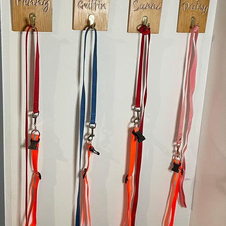 Pet lead and collar hangers