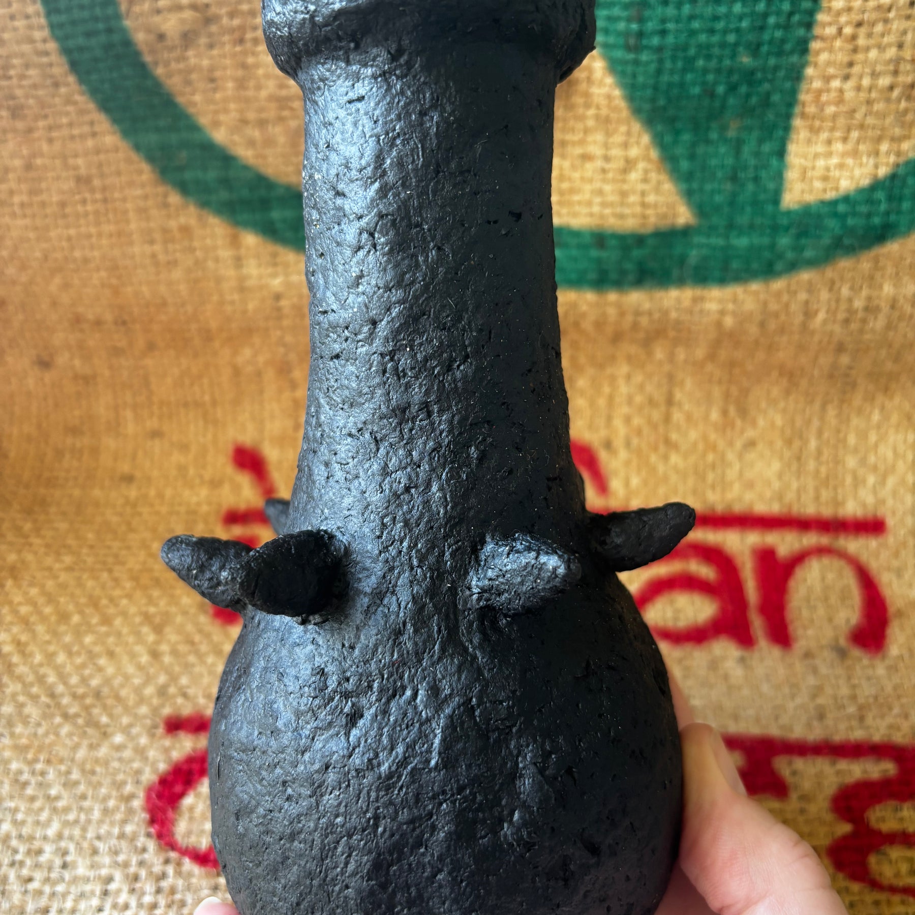 Little spiked black beauty