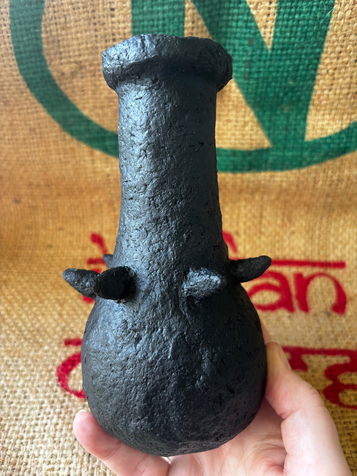 Little spiked black beauty