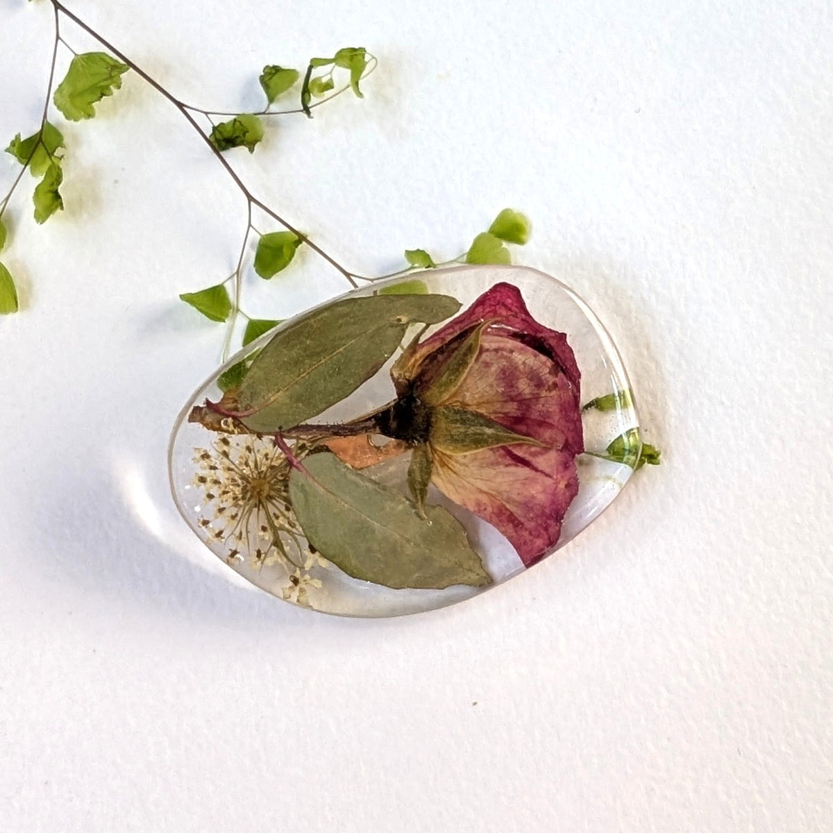 Real Pink Rose Pressed Queen Anne's Lace Floral Brooch