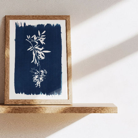 Botanical Wall Art ~ Eco-friendly Cyanotype Art ~ Australian Grevillea