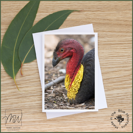 Blank Greeting Card - Australian Brush-turkey