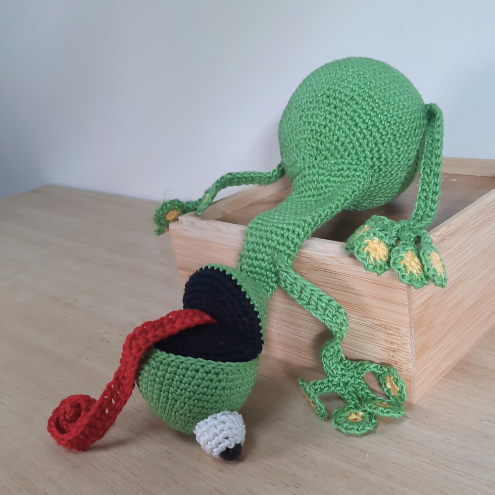 Squashed-frog-doorstop-left-box-Australian-made-watch-the-birdy-crochet