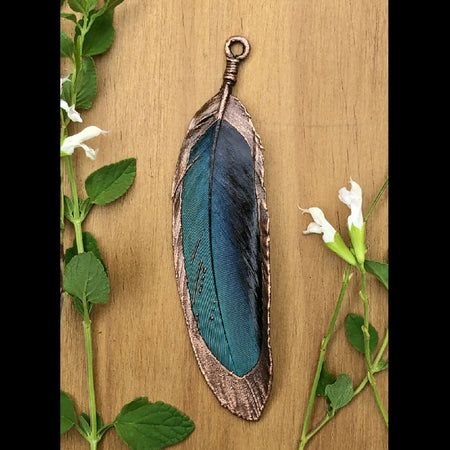 Immortalised Macaw feather