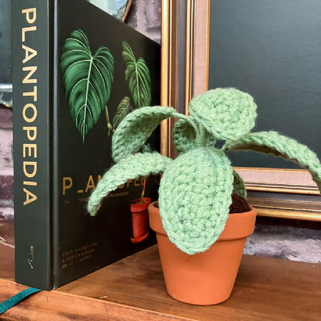 Handcrafted Boho Crochet Plant Decor for Eco-Friendly Home or Office