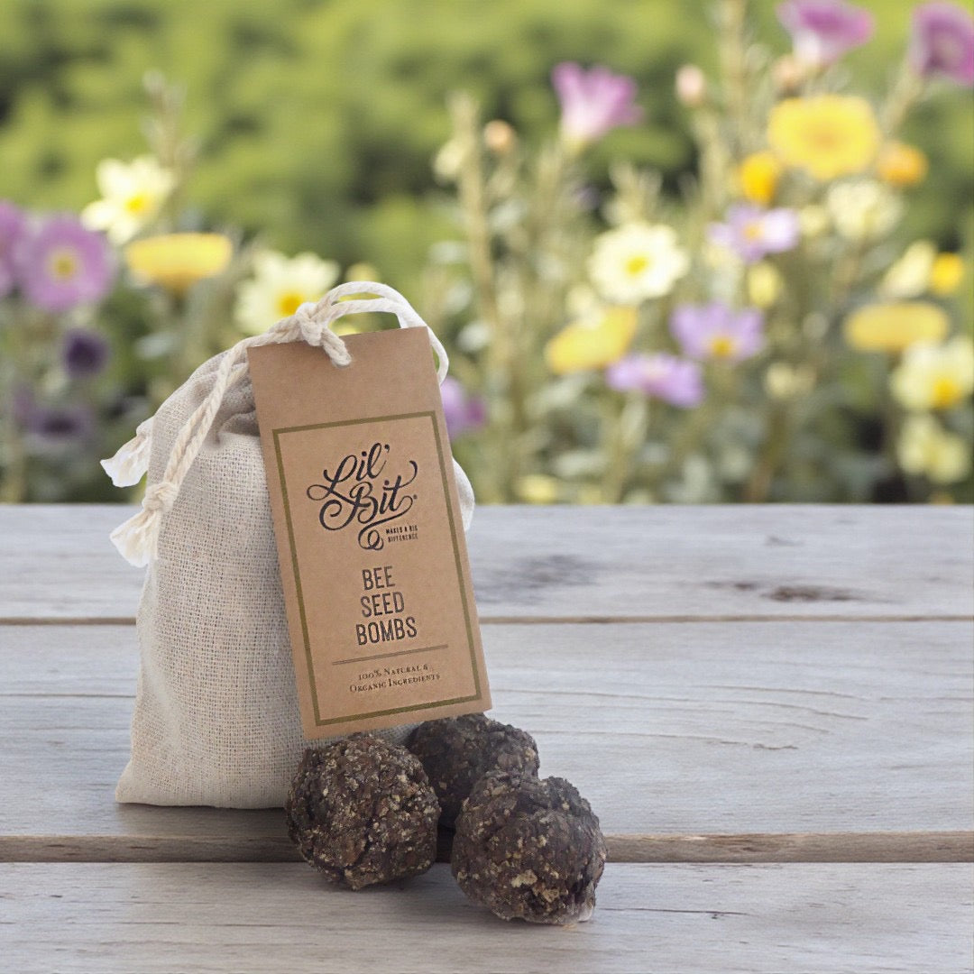 Organic Bee Seed Bombs 6 Pack