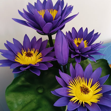 Purple Water Lily Flower Arrangement | Artificial Floral Décor | Pot Not Included
