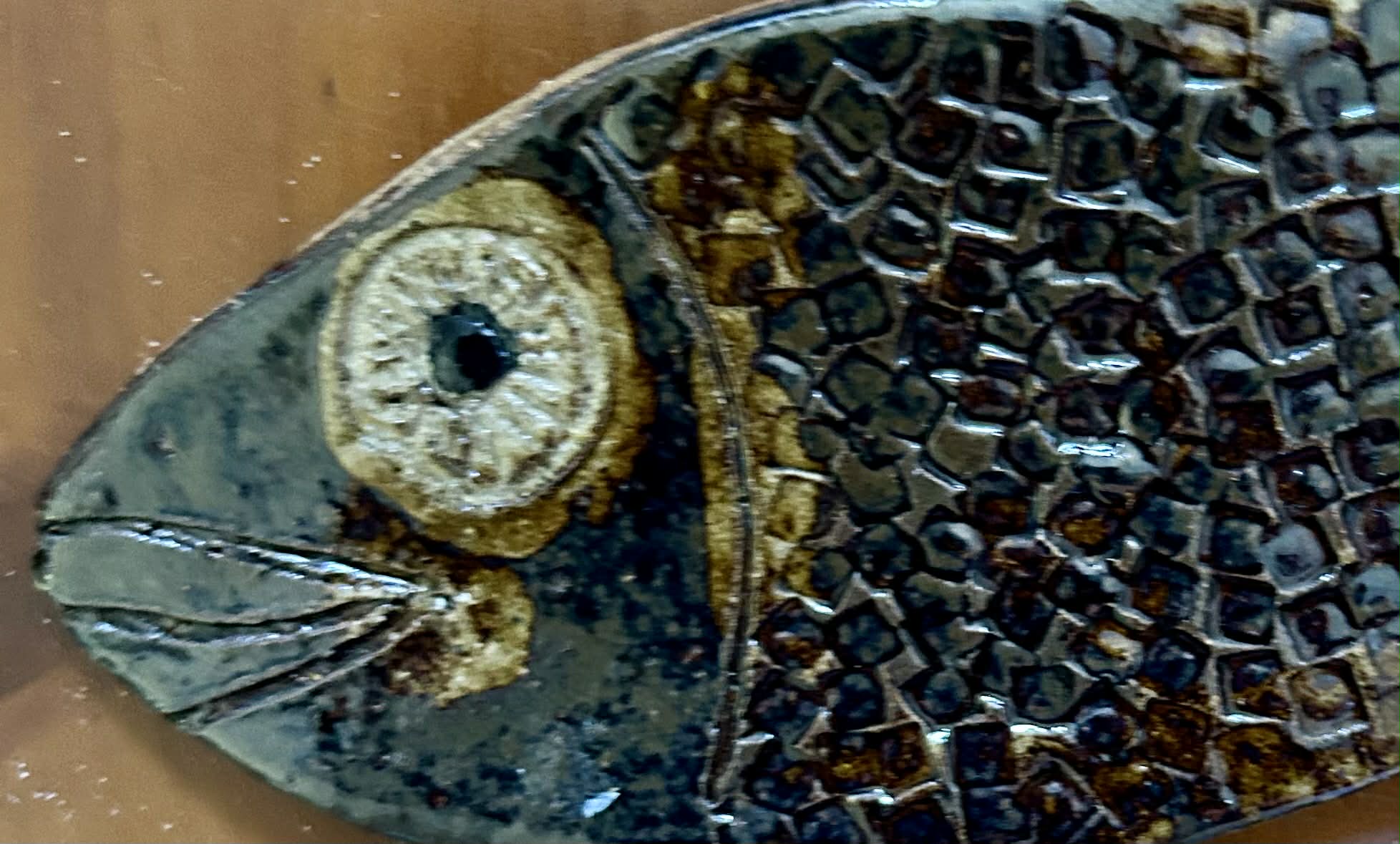 Glossy brown spoonfish