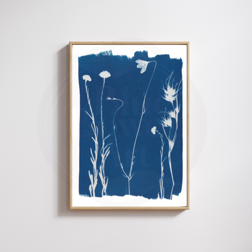 Box Gum Grassy Woodland Wildflower Art Print