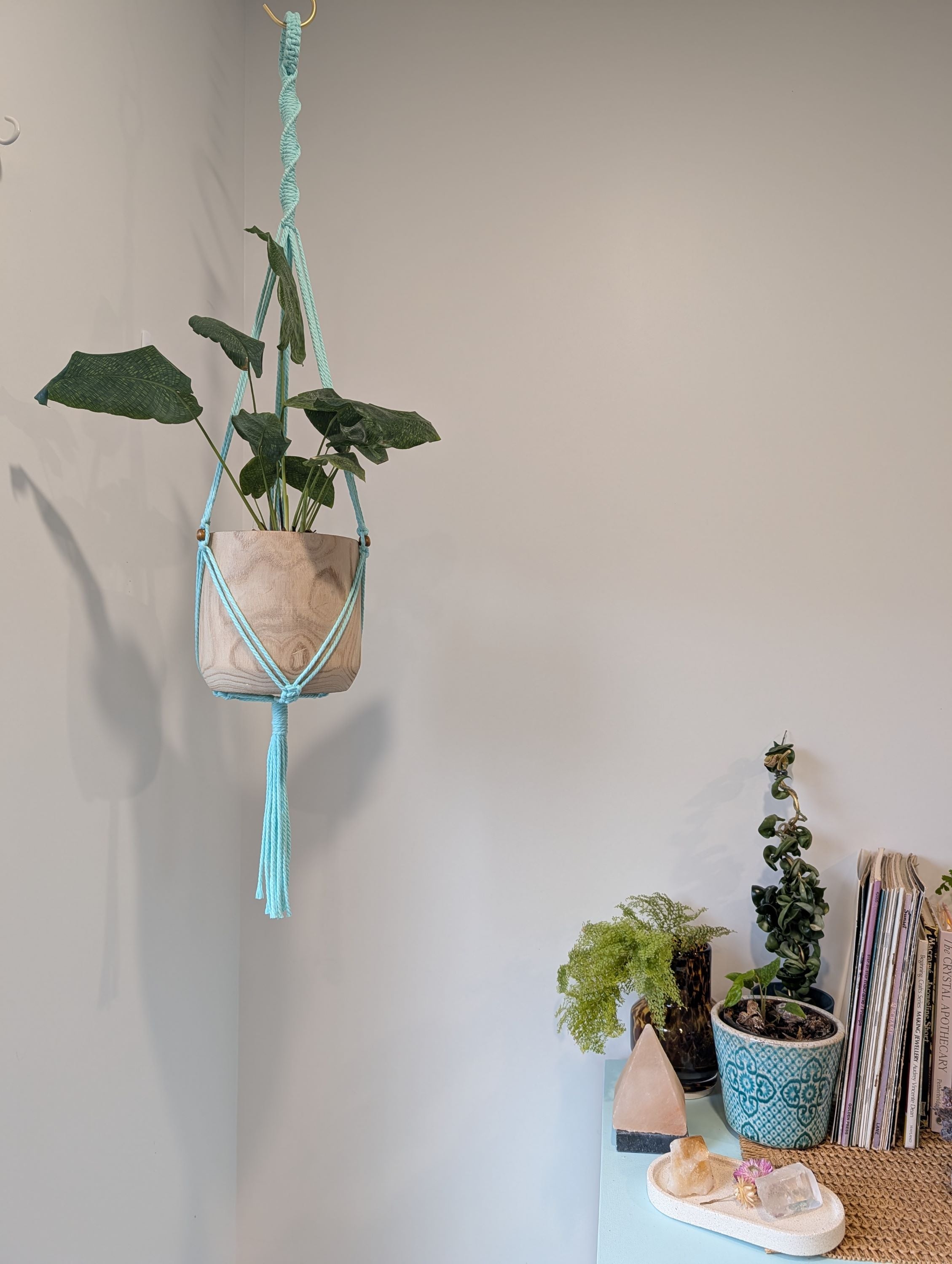 Macrame Plant Hanger - AIYOKA