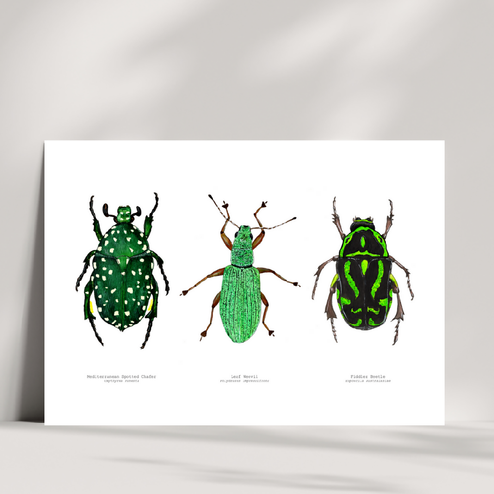 the fauna series - green bug trio