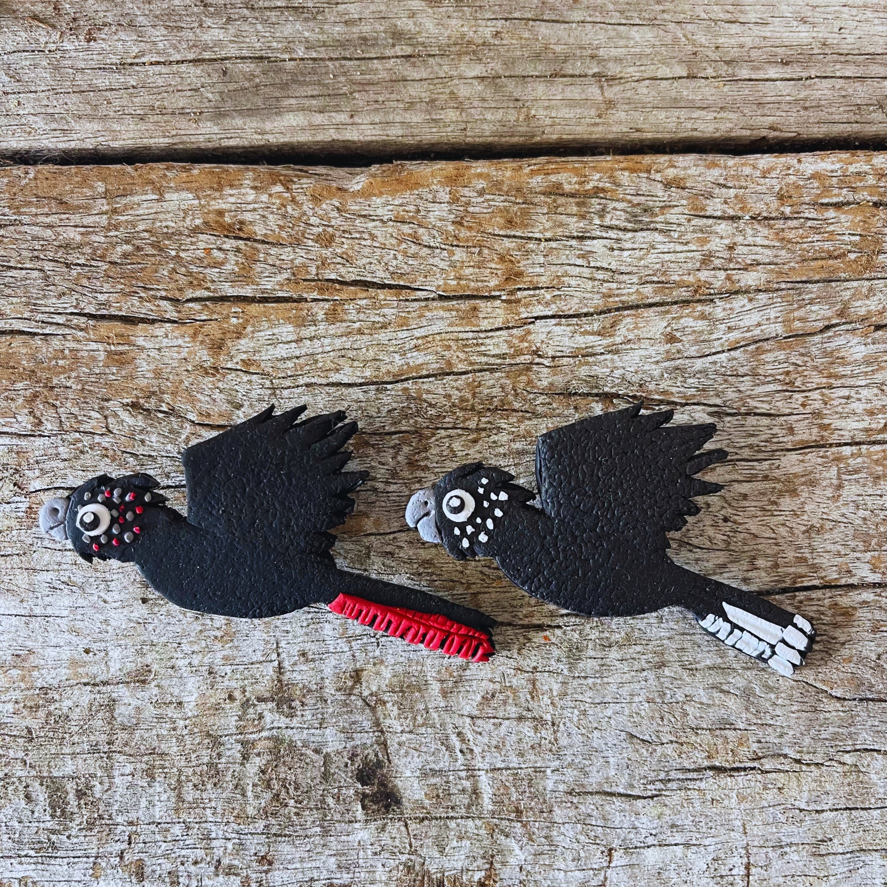 Cockatoo Crisis