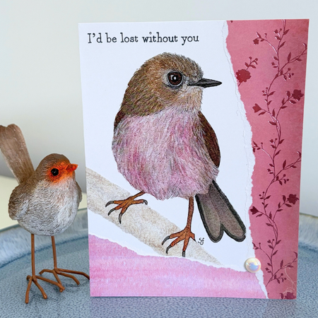 Pink robin 