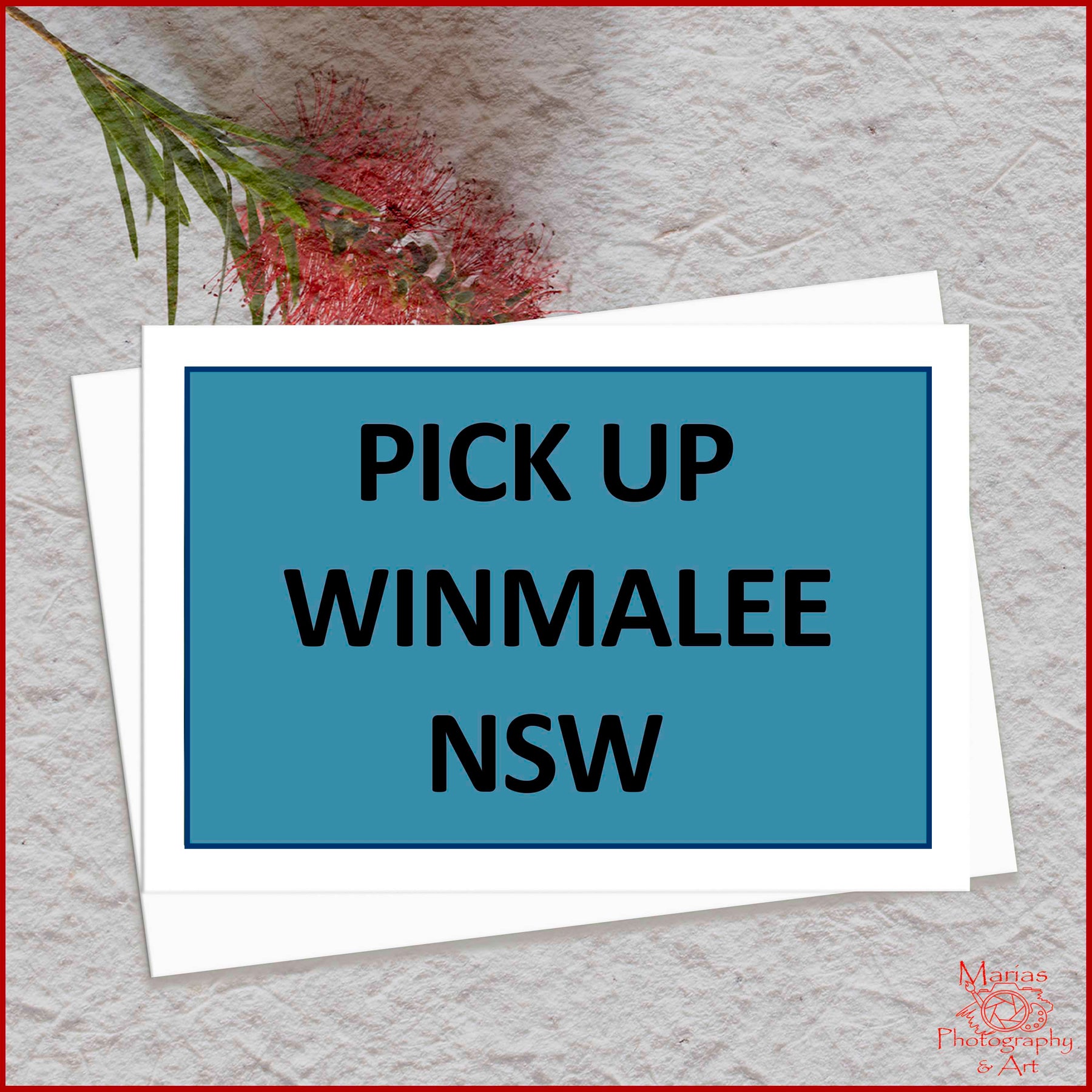 Photographic Print | Wall Art | Glossy Black Cockatoo