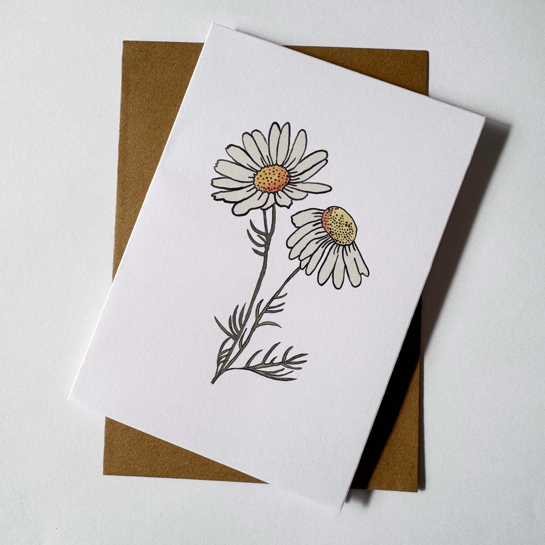Daisy Cards: Hand-Drawn Floral Illustration, Recycled Card (Set of 2)