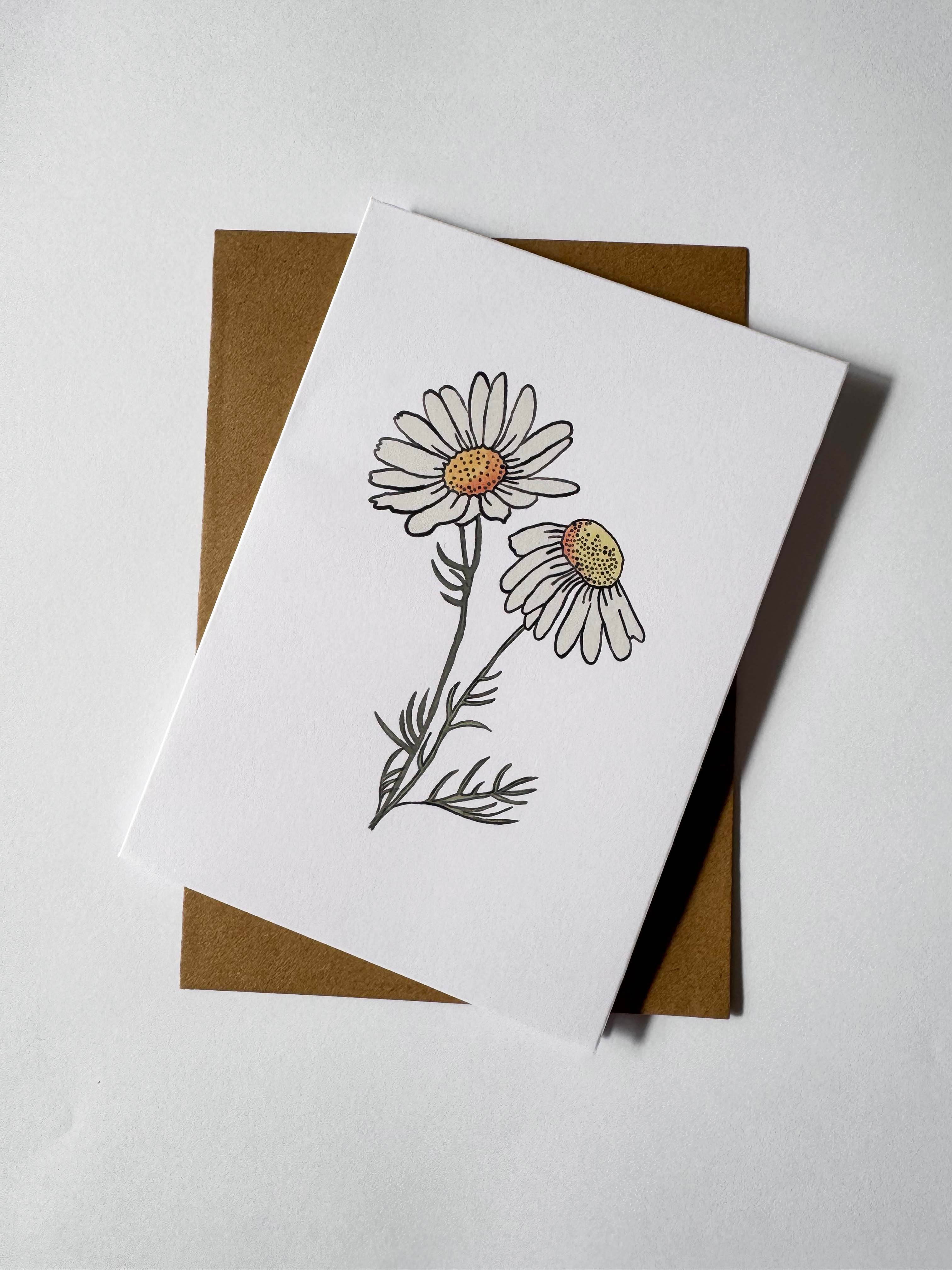 Daisy Cards: Hand-Drawn Floral Illustration, Recycled Card (Set of 2)