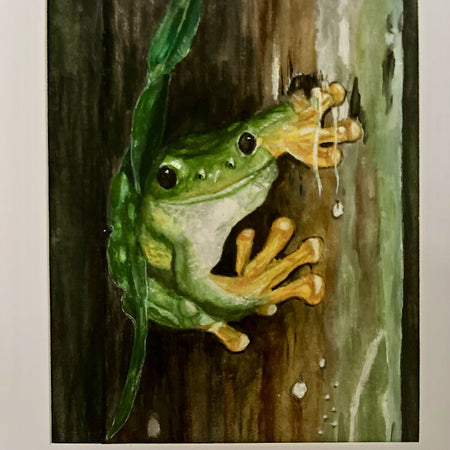 Green frog in watercolour