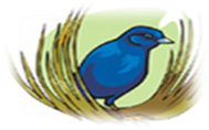 BowerBirdBeads Vendor Logo