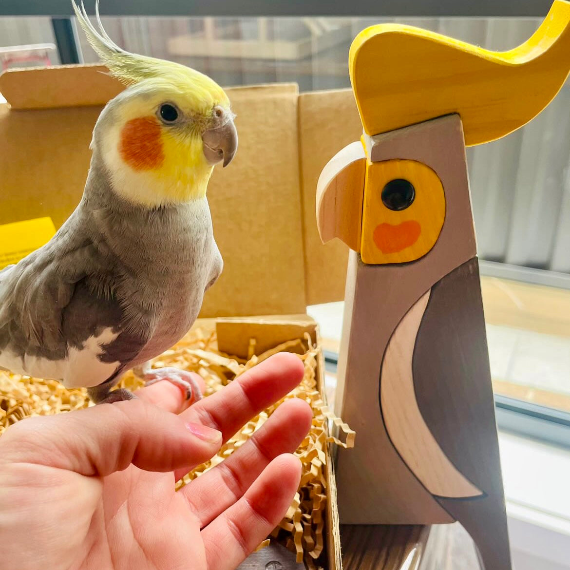 COCKATIEL - Timber bird sculpture - Handmade Australian native bird art, gift & home decor