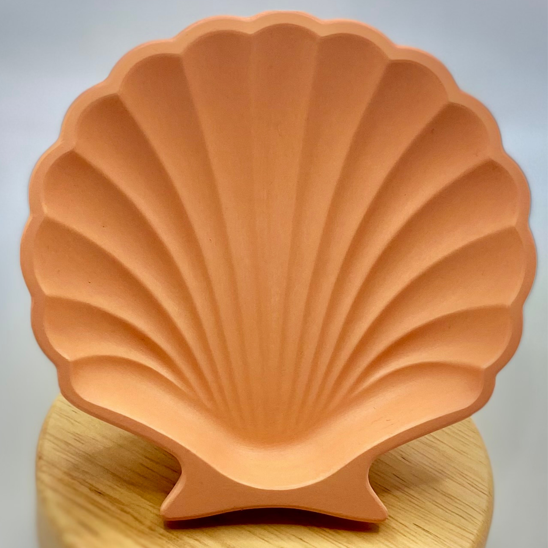 Shell dish | Colour decor collection