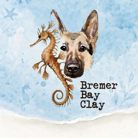 Vendor Profile Picture