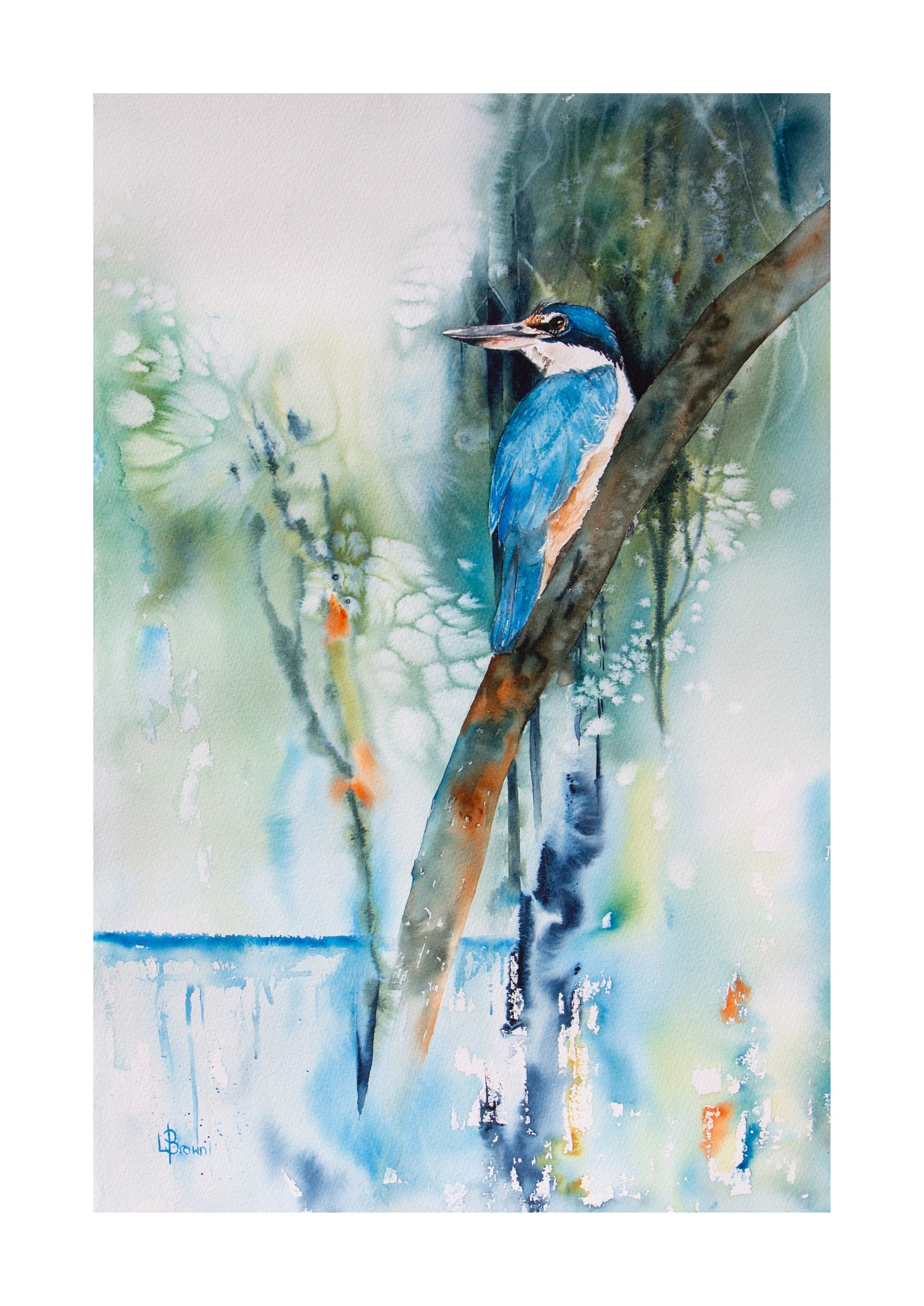 Kingfisher A3 Fine Art Print