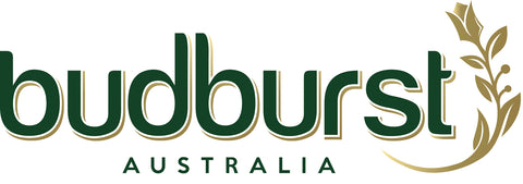 Vendor Profile Picture