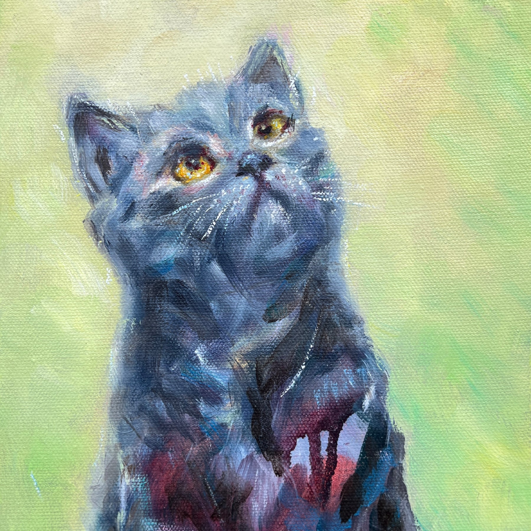 Original Black Cat Portrait - Eyes Full of Wonder