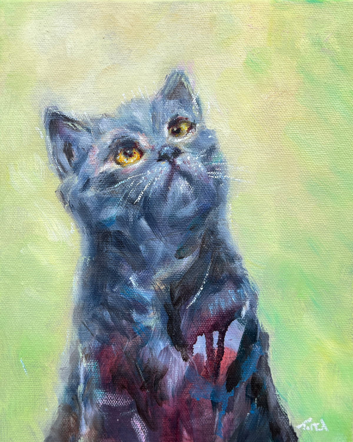Original Black Cat Portrait - Eyes Full of Wonder