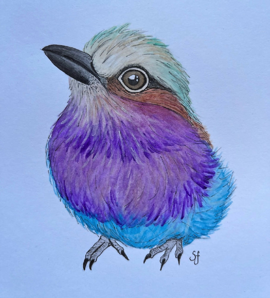 Lilac-breasted roller frame