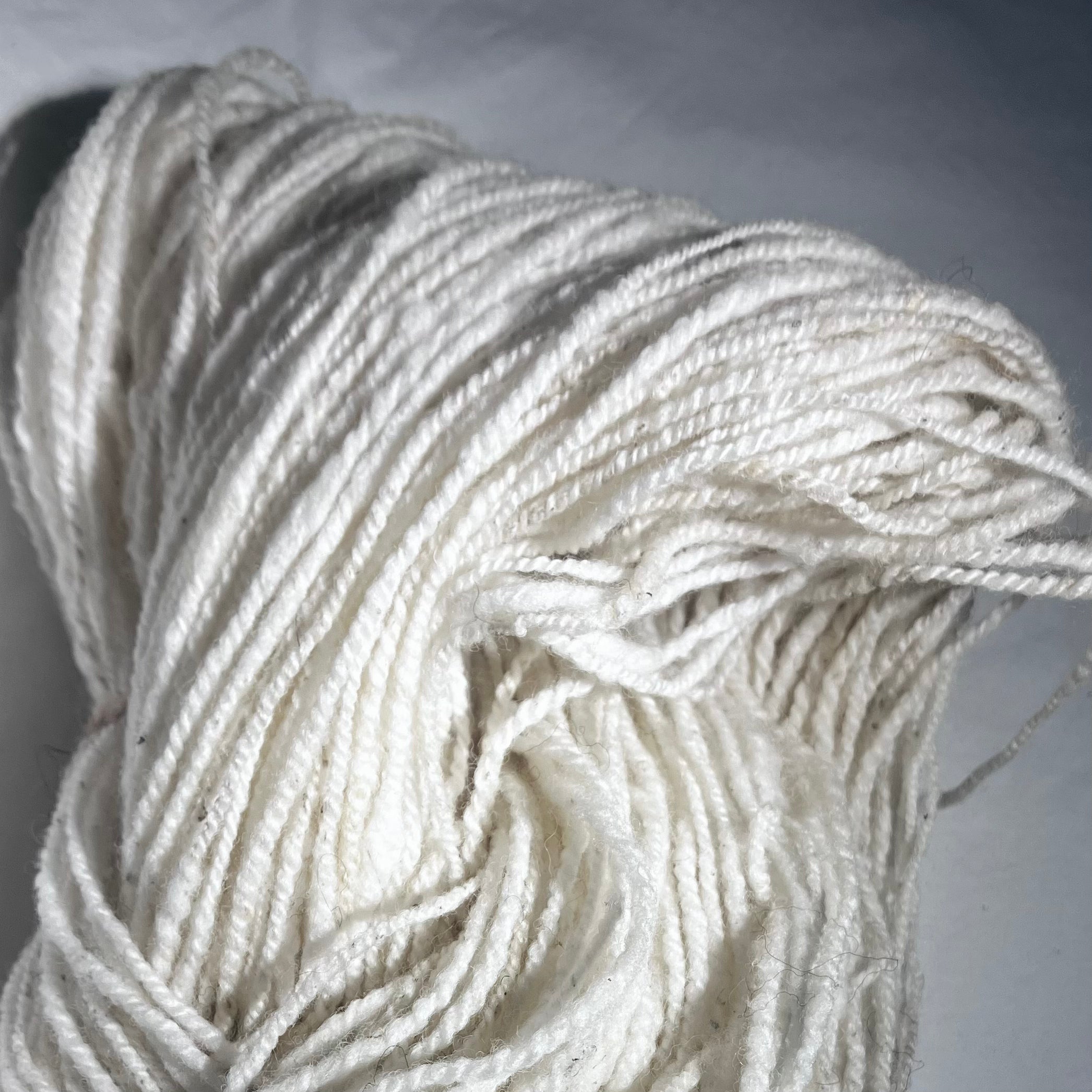Merino x Border Leicester