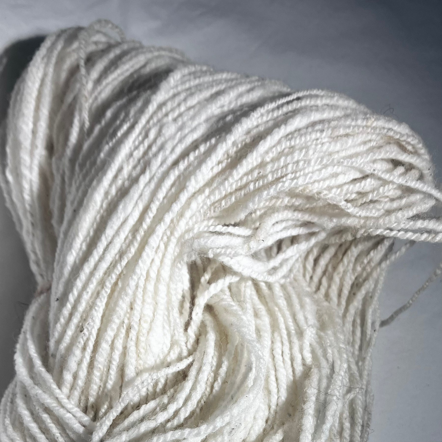 Merino x Border Leicester
