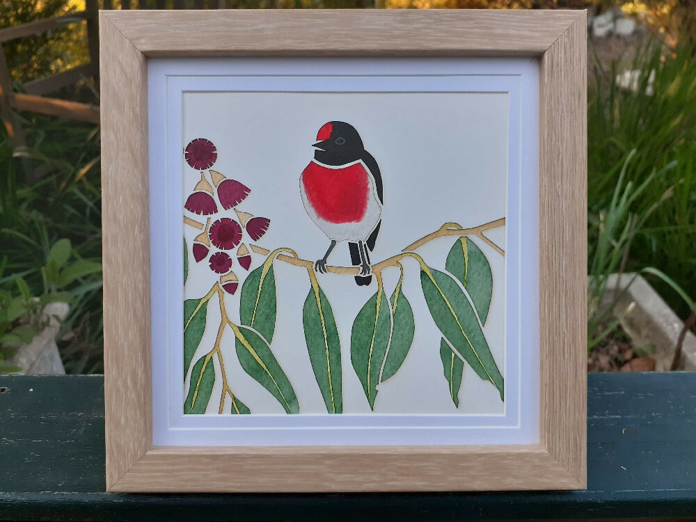 Red-capped robin in Eucalypt