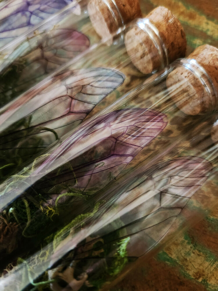 Faery Wings 4