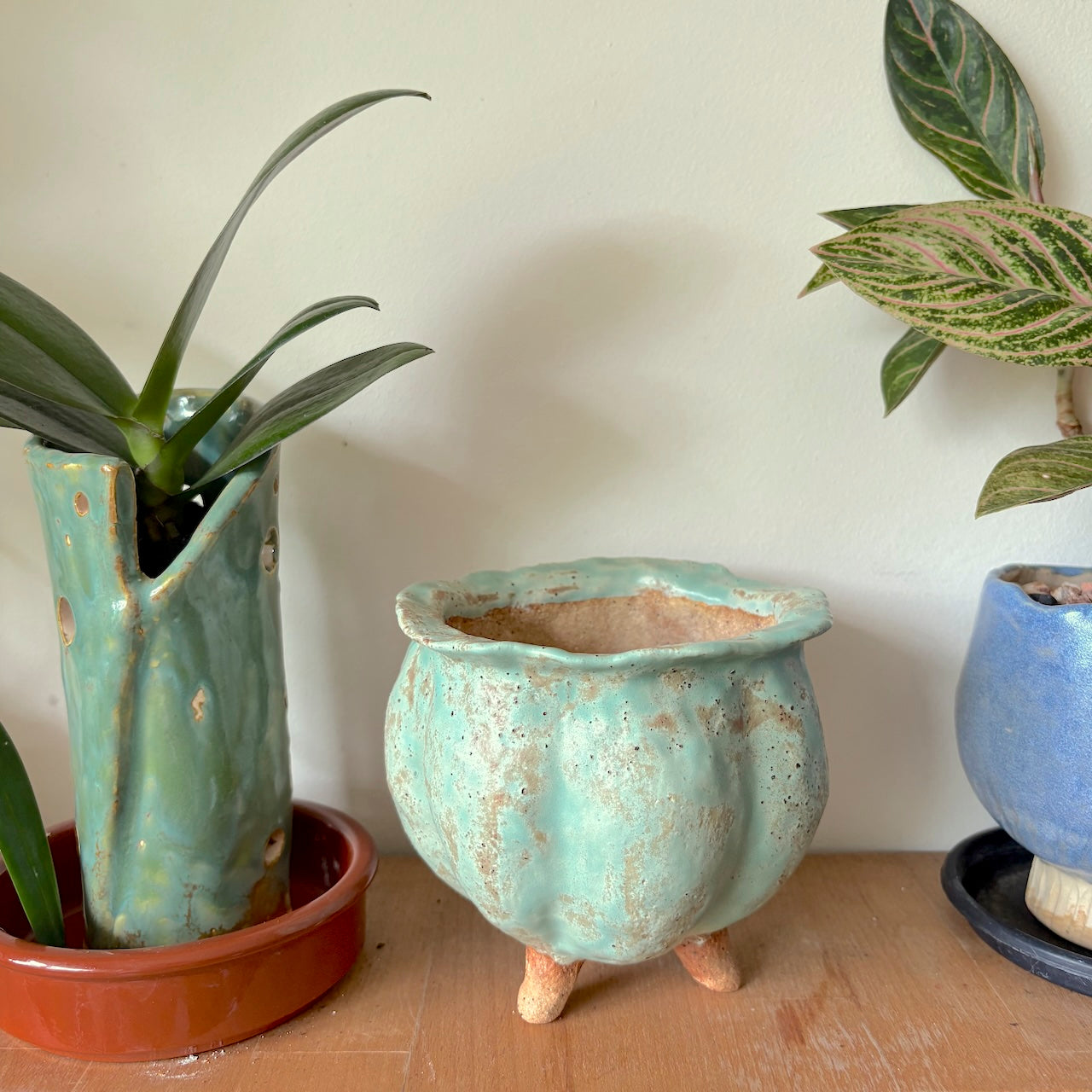 Ceramic cauldron orchid pot