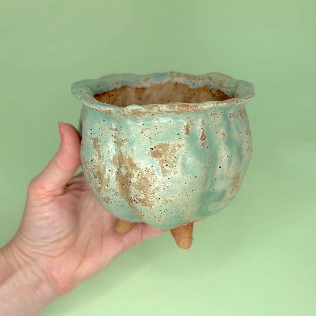 Ceramic cauldron orchid pot
