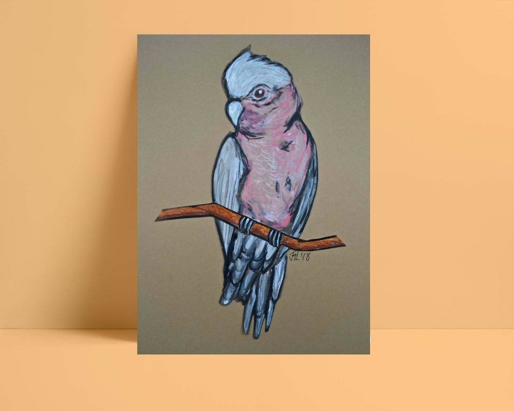 Galah #1 Print A3