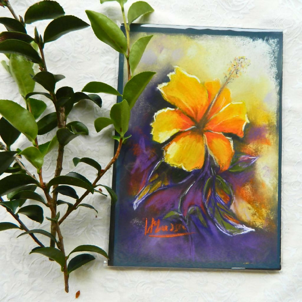 pastel hibiscus in cellophane bag