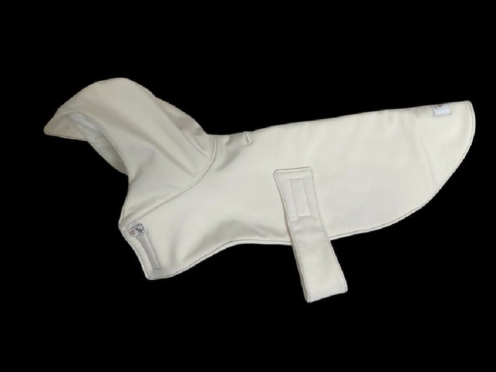 cream raincoat doxie 4