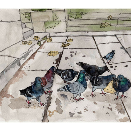 Pigeon Politics - art print