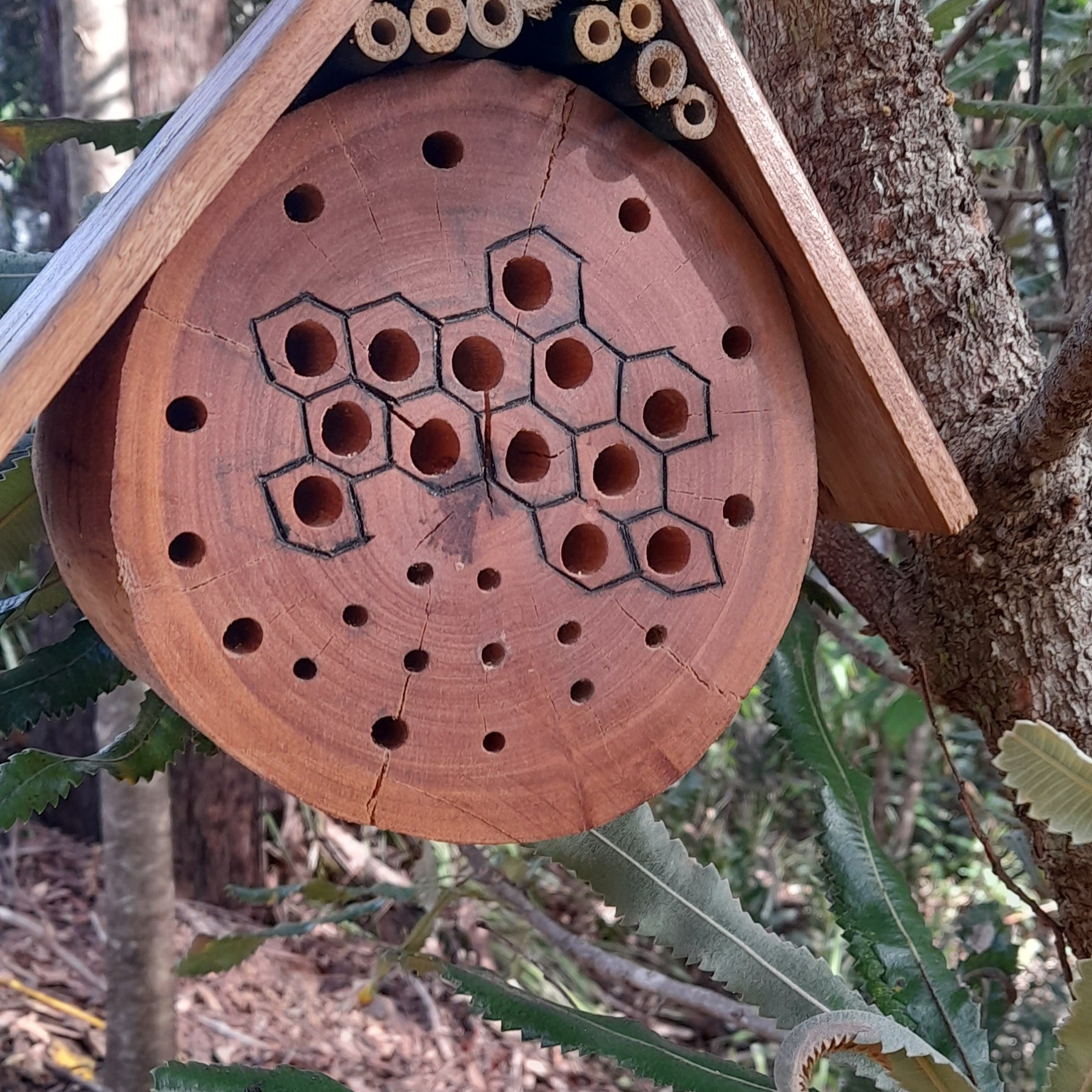 Hardwood Native Bee Hotel