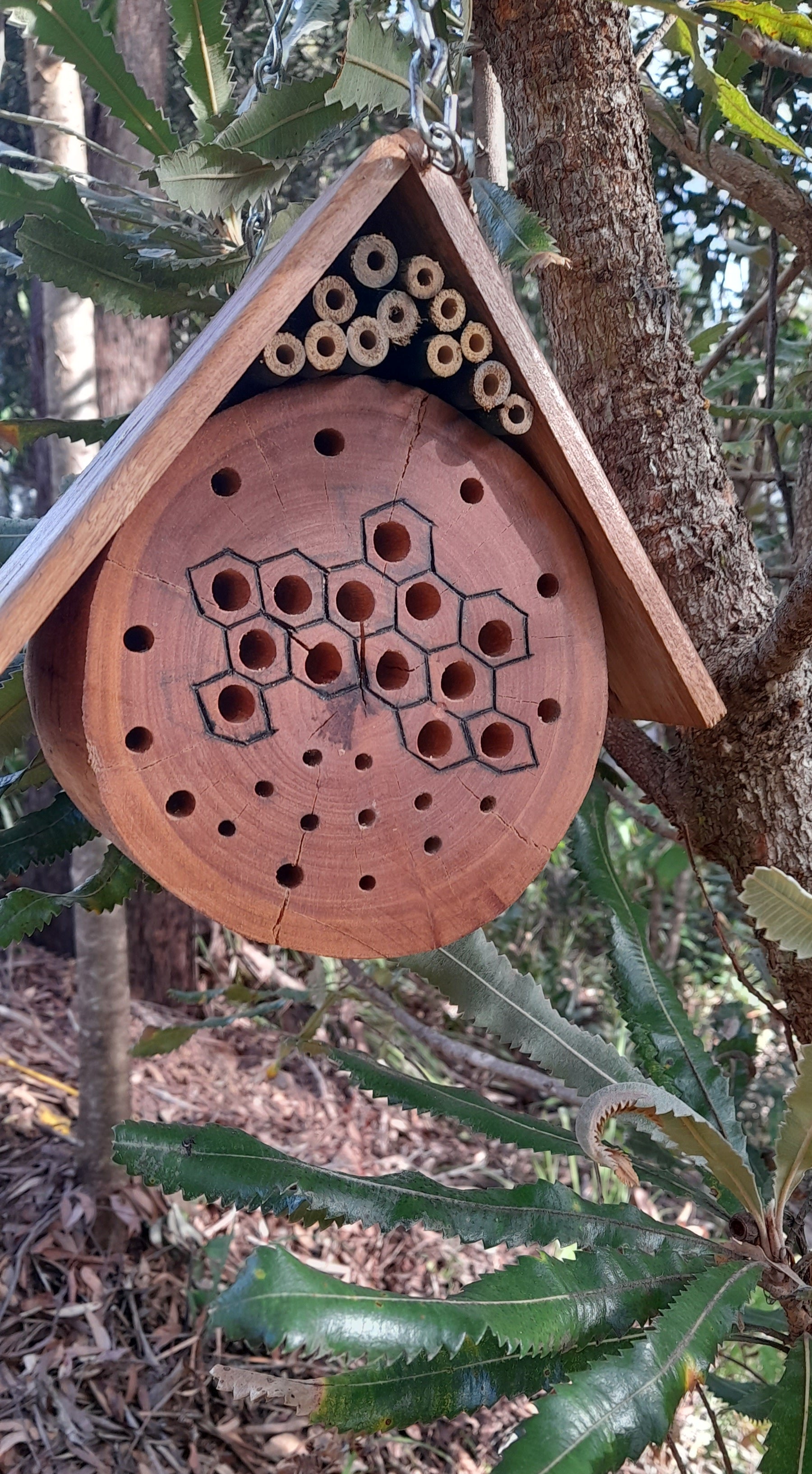 Hardwood Native Bee Hotel