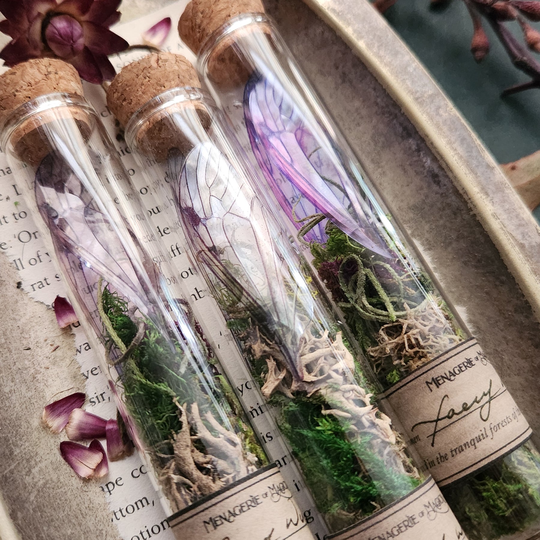 Faery Wings in Glass Tube Fairy Curio