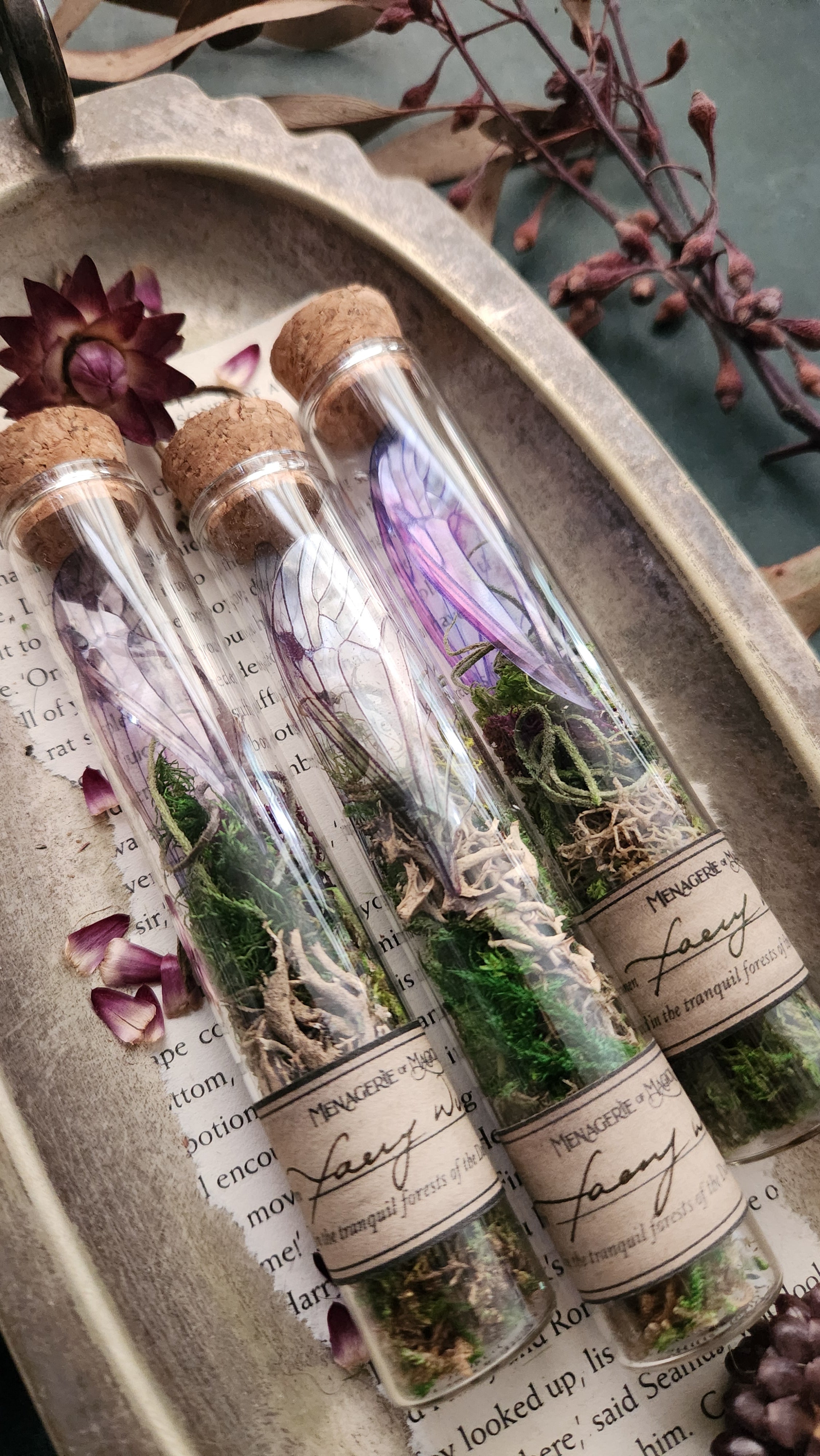 Faery Wings in Glass Tube Fairy Curio