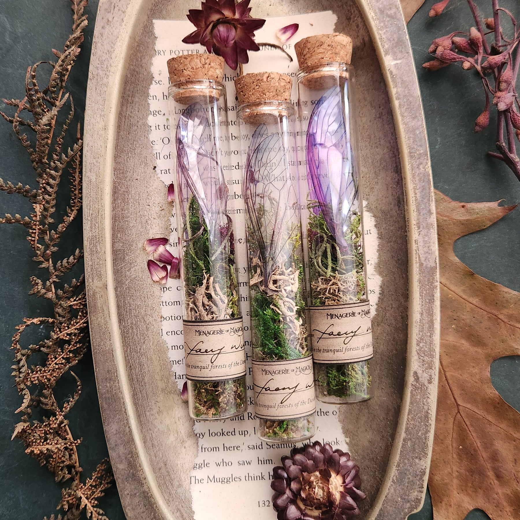 Faery Wings in Glass Tube Fairy Curio