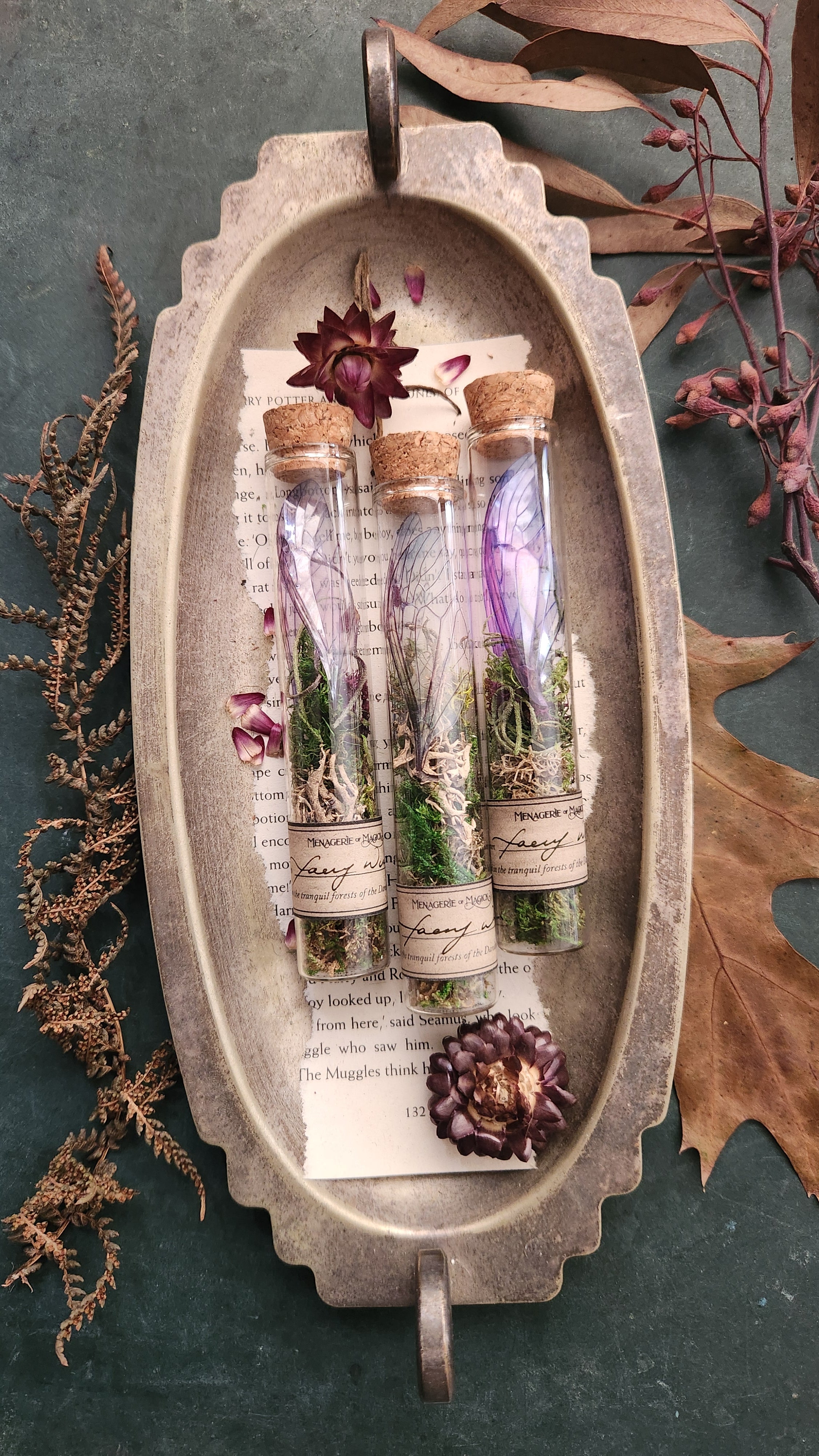 Faery Wings in Glass Tube Fairy Curio