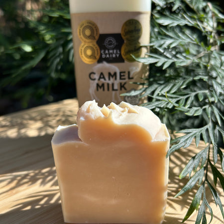 Natural Camel Milk Soap | Handmade Organic Soap | Shea Butter Soap